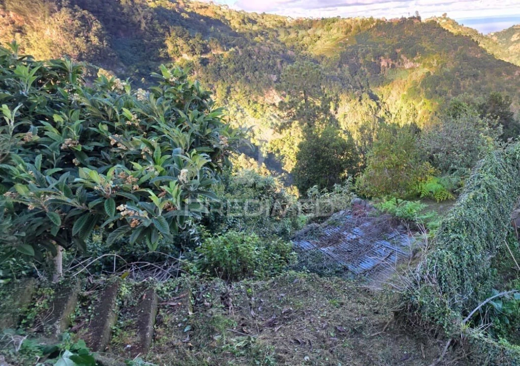 Terreno para Venda em Ilha Foto 7