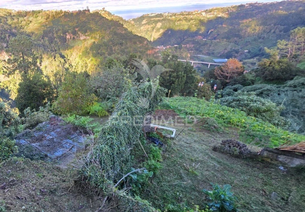 Terreno para Venda em Ilha Foto 8