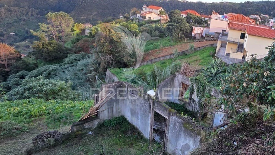 Terreno para Venda em Ilha