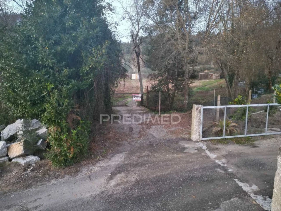 Terreno para Venda em Briteiros São Salvador e Briteiros Santa Leocádia Foto 6