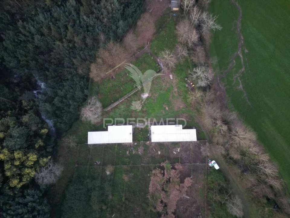 Terreno para Venda em Briteiros São Salvador e Briteiros Santa Leocádia Foto 9