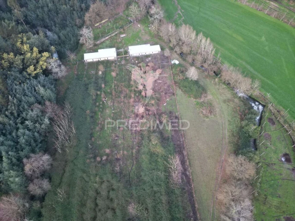 Terreno para Venda em Briteiros São Salvador e Briteiros Santa Leocádia Foto 7
