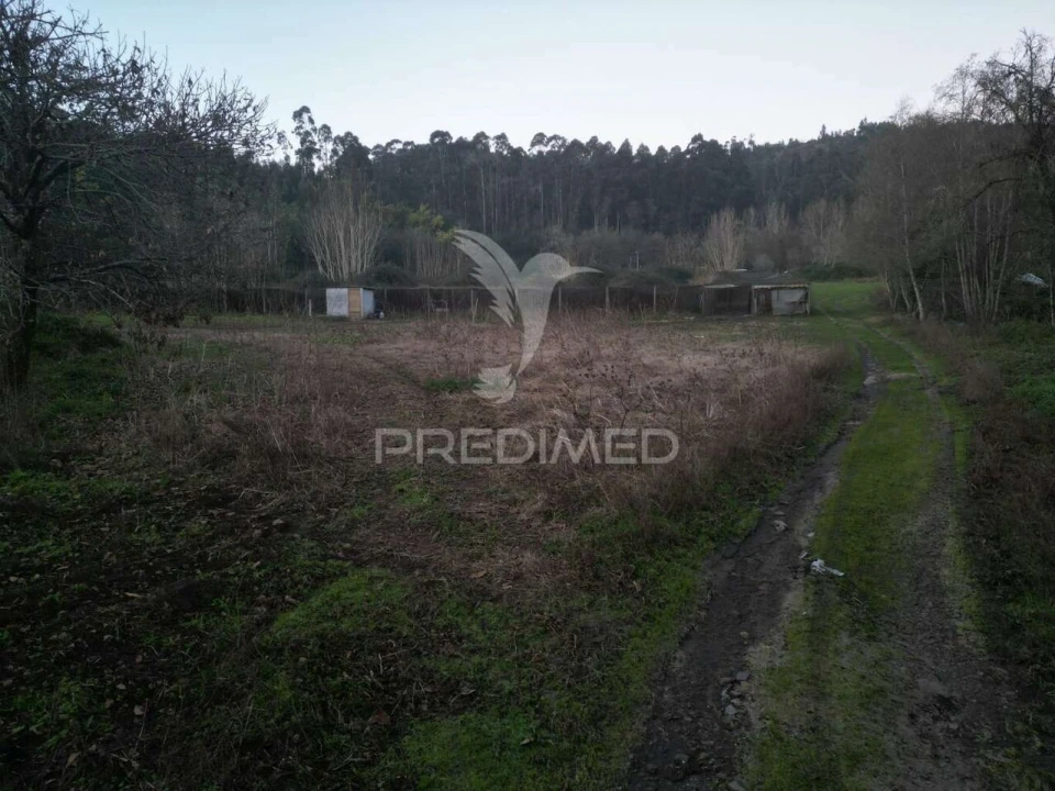 Terreno para Venda em Briteiros São Salvador e Briteiros Santa Leocádia Foto 14