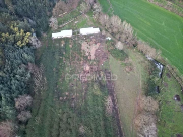 Terreno para Venda em Briteiros São Salvador e Briteiros Santa Leocádia