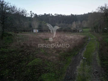 Terreno para Venda em Briteiros São Salvador e Briteiros Santa Leocádia