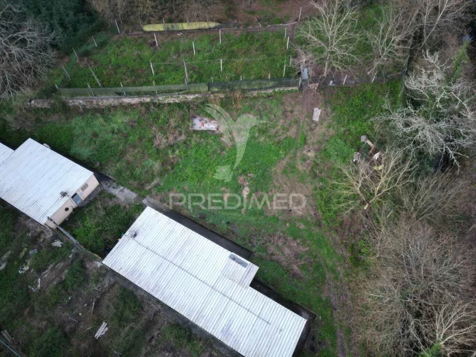 Terreno para Venda em Briteiros São Salvador e Briteiros Santa Leocádia Foto 15