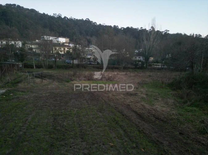 Terreno para Venda em Briteiros São Salvador e Briteiros Santa Leocádia Foto 13