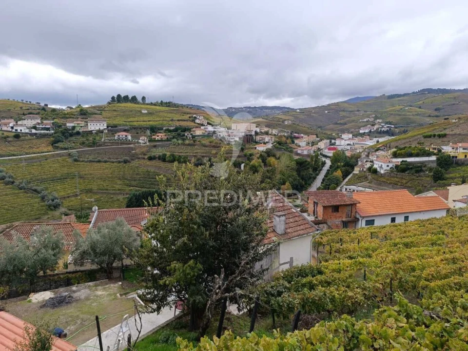 Moradia T3 para Venda em Lobrigos (São Miguel e São João Baptista) e Sanhoane Foto 20