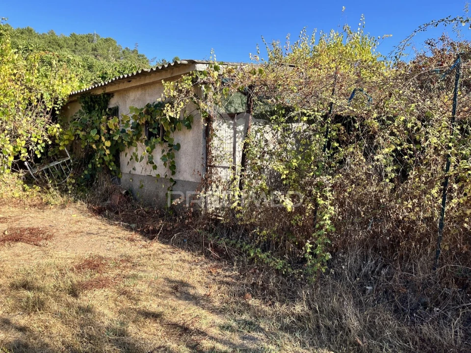 Terreno para Venda em Vidago, Arcossó, Selhariz, Vilarinho Paranheiras Foto 4