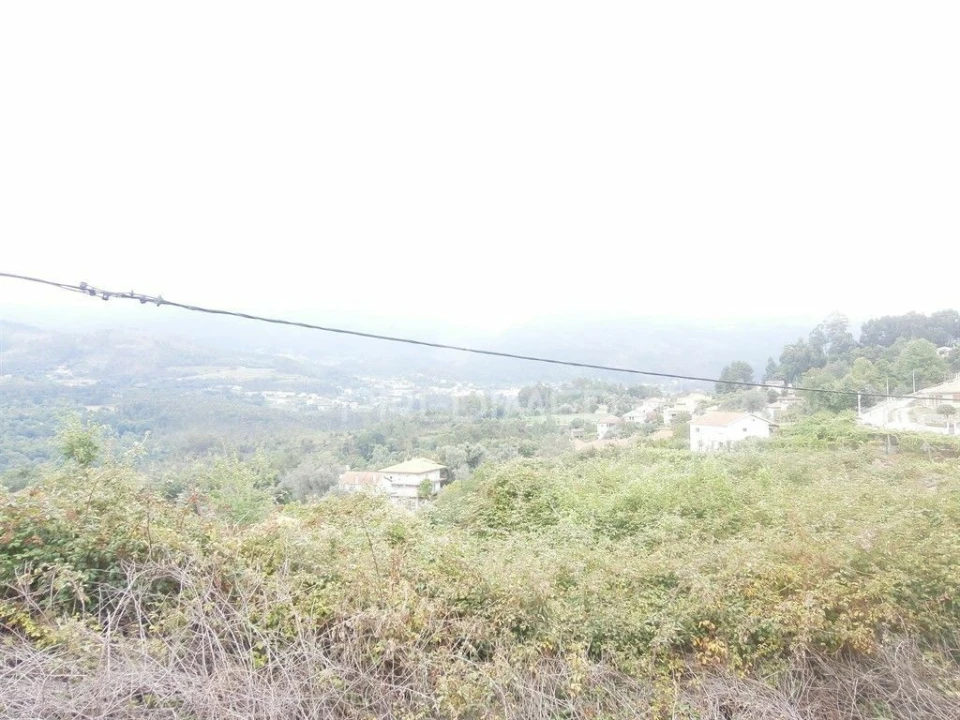 Quinta T0 para Venda em Verim, Friande e Ajude Foto 13