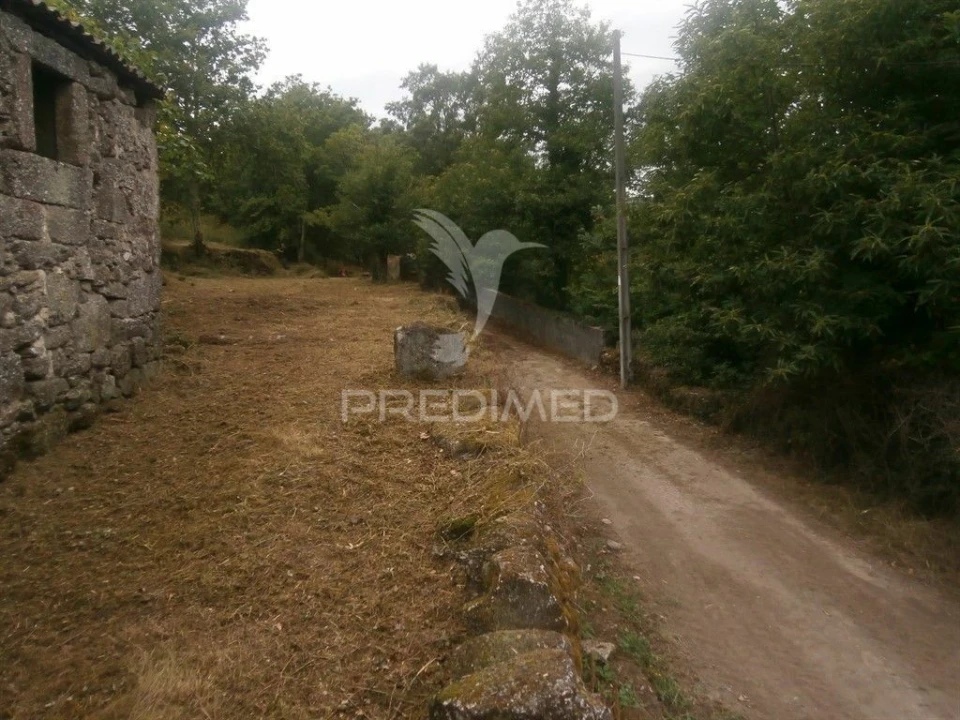 Quinta T0 para Venda em Verim, Friande e Ajude Foto 10