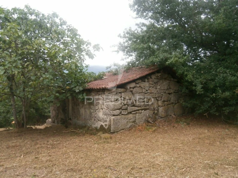 Quinta T0 para Venda em Verim, Friande e Ajude Foto 5