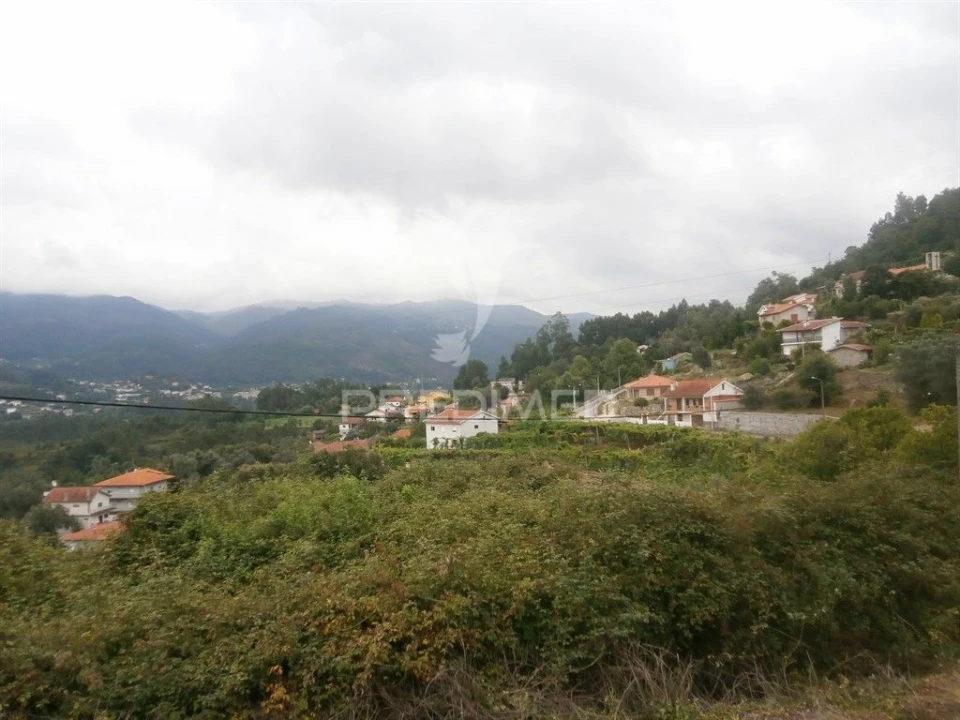 Quinta T0 para Venda em Verim, Friande e Ajude Foto 14