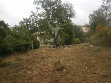 Quinta T0 para Venda em Verim, Friande e Ajude