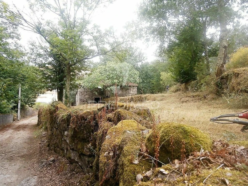 Quinta T0 para Venda em Verim, Friande e Ajude Foto 9