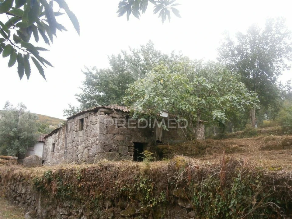 Quinta T0 para Venda em Verim, Friande e Ajude Foto 4