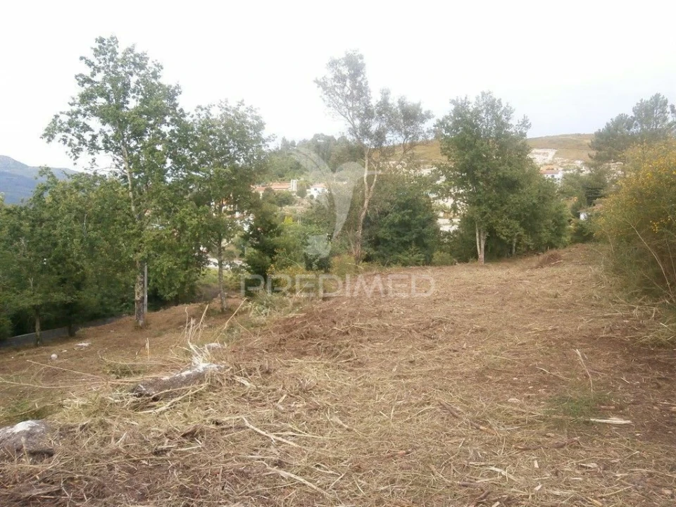 Quinta T0 para Venda em Verim, Friande e Ajude Foto 11