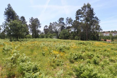 Terreno para Venda em Vila Verde e Barbudo