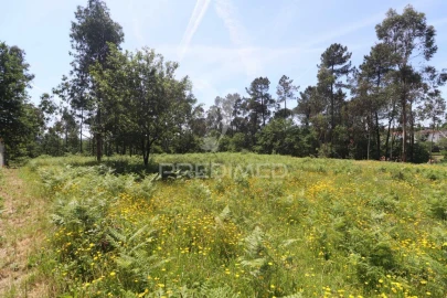 Terreno para Venda em Vila Verde e Barbudo