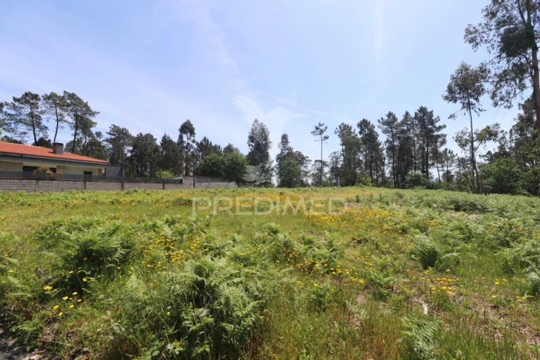 Terreno para Venda em Vila Verde e Barbudo Foto 8