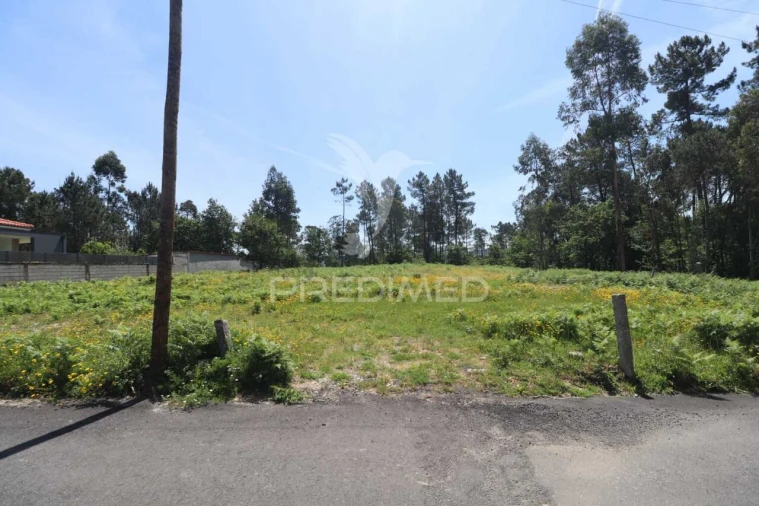 Terreno para Venda em Vila Verde e Barbudo