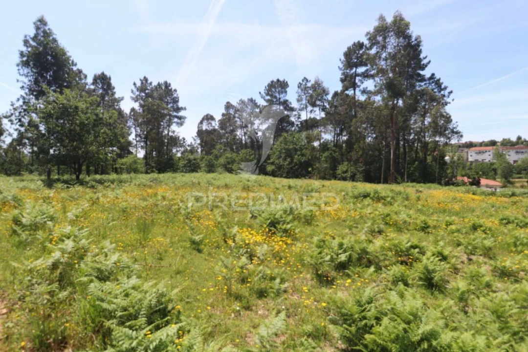Terreno para Venda em Vila Verde e Barbudo Foto 10