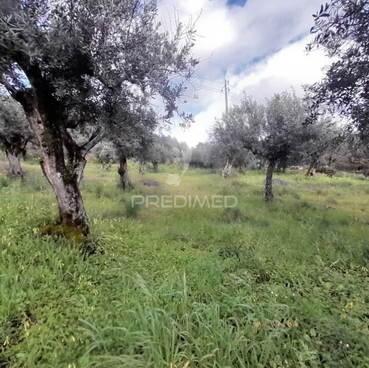 Quinta T3 para Venda em Sé e São Lourenço Foto 3