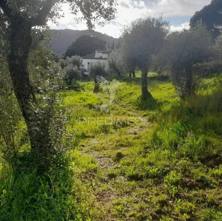 Quinta T3 para Venda em Sé e São Lourenço Foto 6
