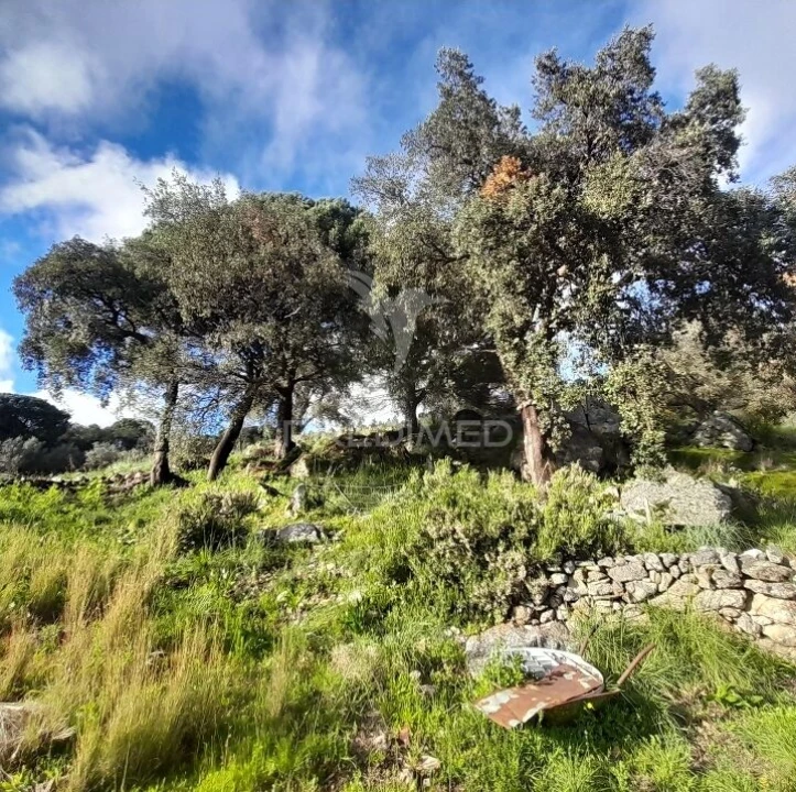 Quinta T3 para Venda em Sé e São Lourenço Foto 7