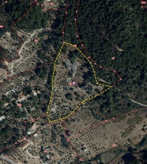 Quinta T3 para Venda em Sé e São Lourenço