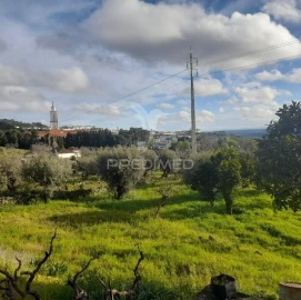 Quinta T3 para Venda em Sé e São Lourenço