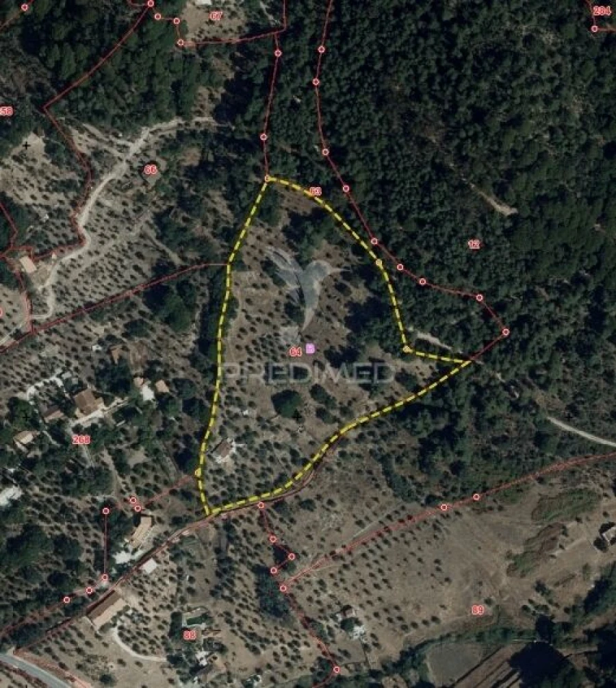 Quinta T3 para Venda em Sé e São Lourenço Foto 16