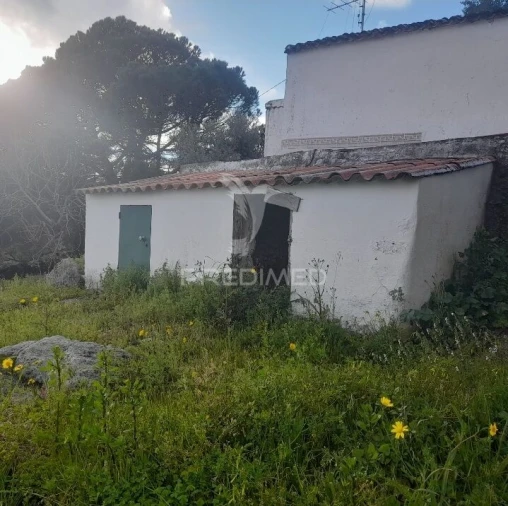 Quinta T3 para Venda em Sé e São Lourenço Foto 4