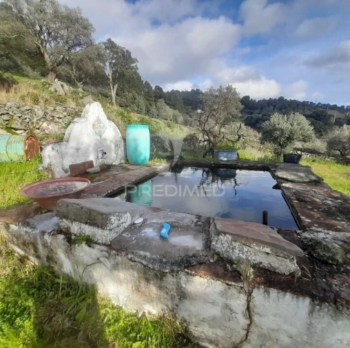 Quinta T3 para Venda em Sé e São Lourenço Foto 5