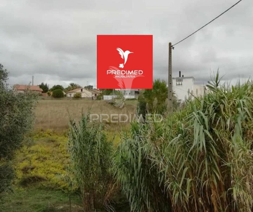 Terreno para Venda em Alcanena e Vila Moreira Foto 19