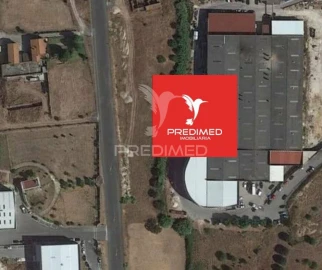 Terreno para Venda em Alcanena e Vila Moreira