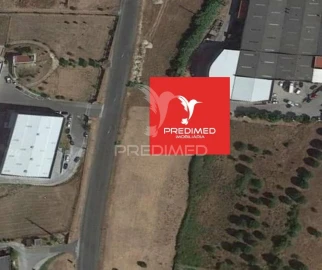 Terreno para Venda em Alcanena e Vila Moreira