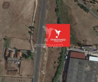 Terreno para Venda em Alcanena e Vila Moreira