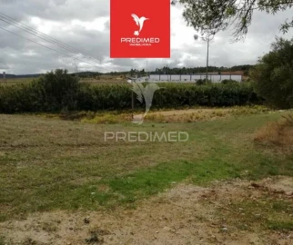 Terreno para Venda em Alcanena e Vila Moreira