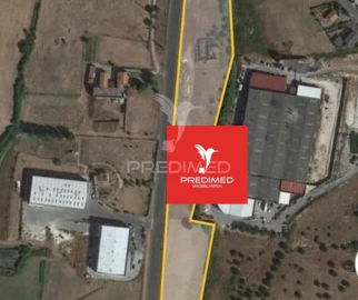 Terreno para Venda em Alcanena e Vila Moreira