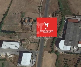 Terreno para Venda em Alcanena e Vila Moreira