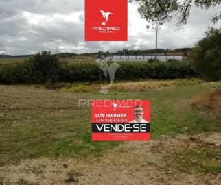 Terreno para Venda em Alcanena e Vila Moreira