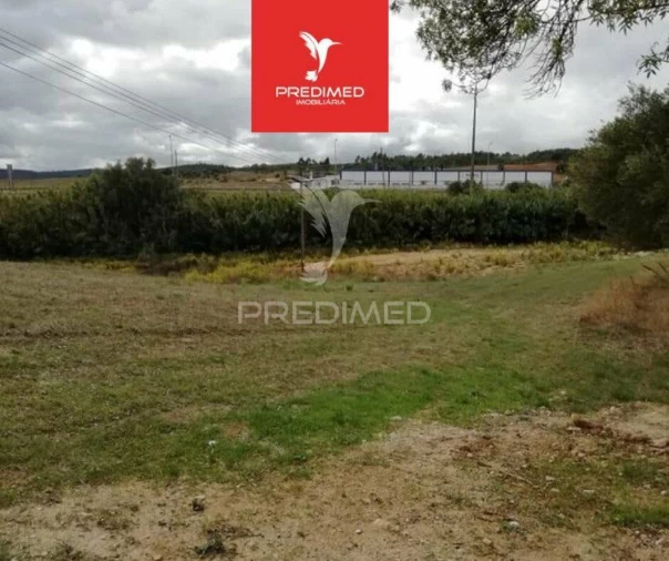 Terreno para Venda em Alcanena e Vila Moreira Foto 4