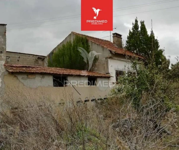 Terreno para Venda em Alcanena e Vila Moreira Foto 15