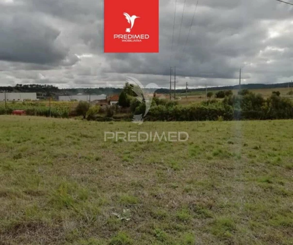 Terreno para Venda em Alcanena e Vila Moreira Foto 5