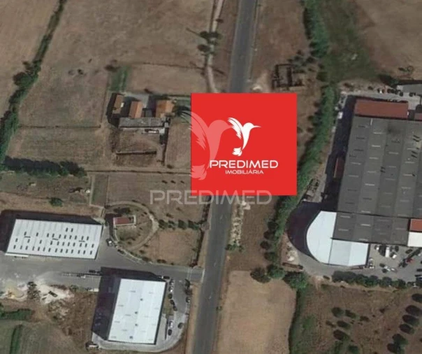 Terreno para Venda em Alcanena e Vila Moreira Foto 12