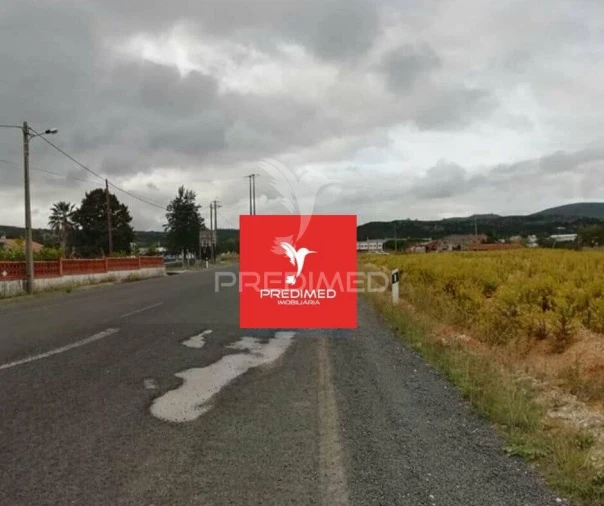 Terreno para Venda em Alcanena e Vila Moreira Foto 17