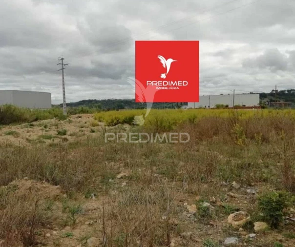 Terreno para Venda em Alcanena e Vila Moreira Foto 16