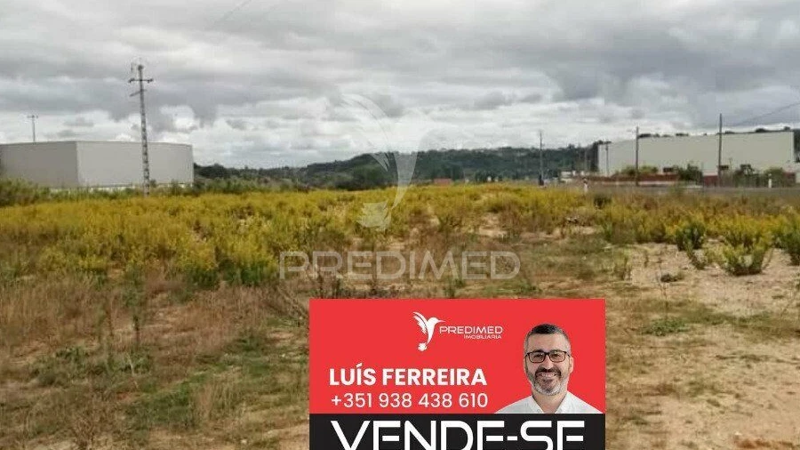 Terreno para Venda em Alcanena e Vila Moreira