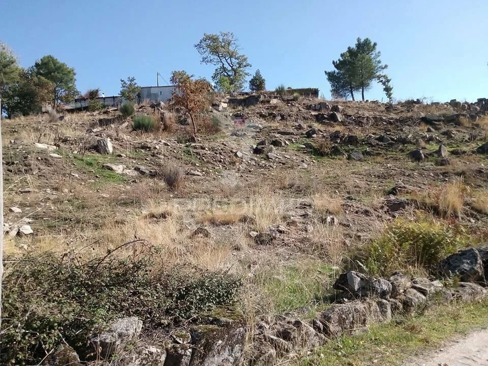 Terreno para Venda em Adoufe e Vilarinho de Samardã Foto 5